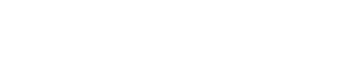 Mestre Magento